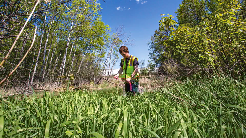 Certified-Wetland-Delineator-3